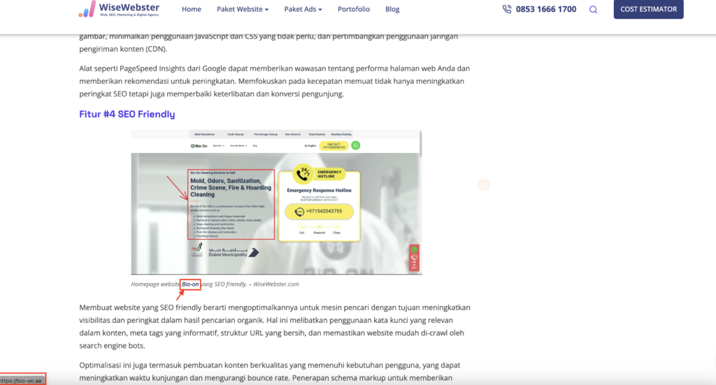 Bio On memperoleh backlink dari salah satu artikel milik wisewebster yang dapat membantu perankingan mereka di Google Search Engine Result Page