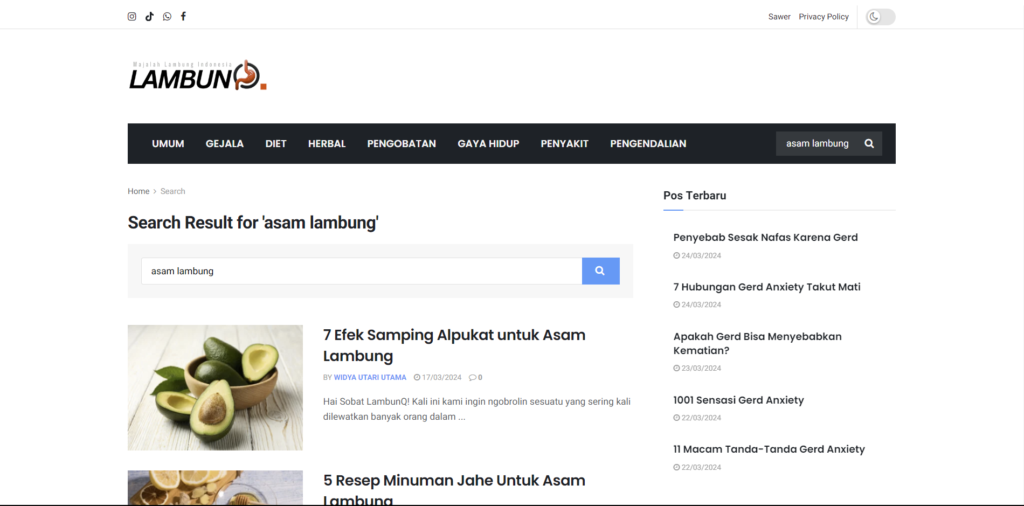 Pengunaan Fitur Pencarian Internal pada Website Lambunq.com - WiseWebster.com